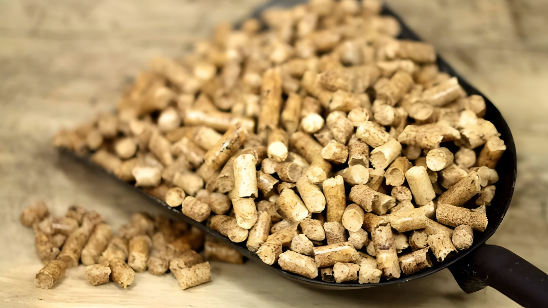 comprar pellets
